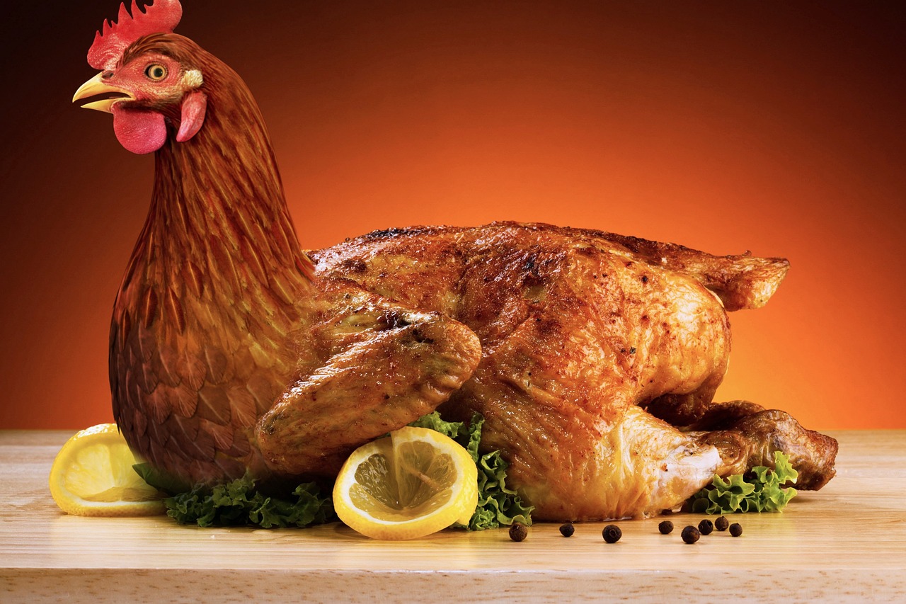 How to Raise Backyard Chickens Sustainably